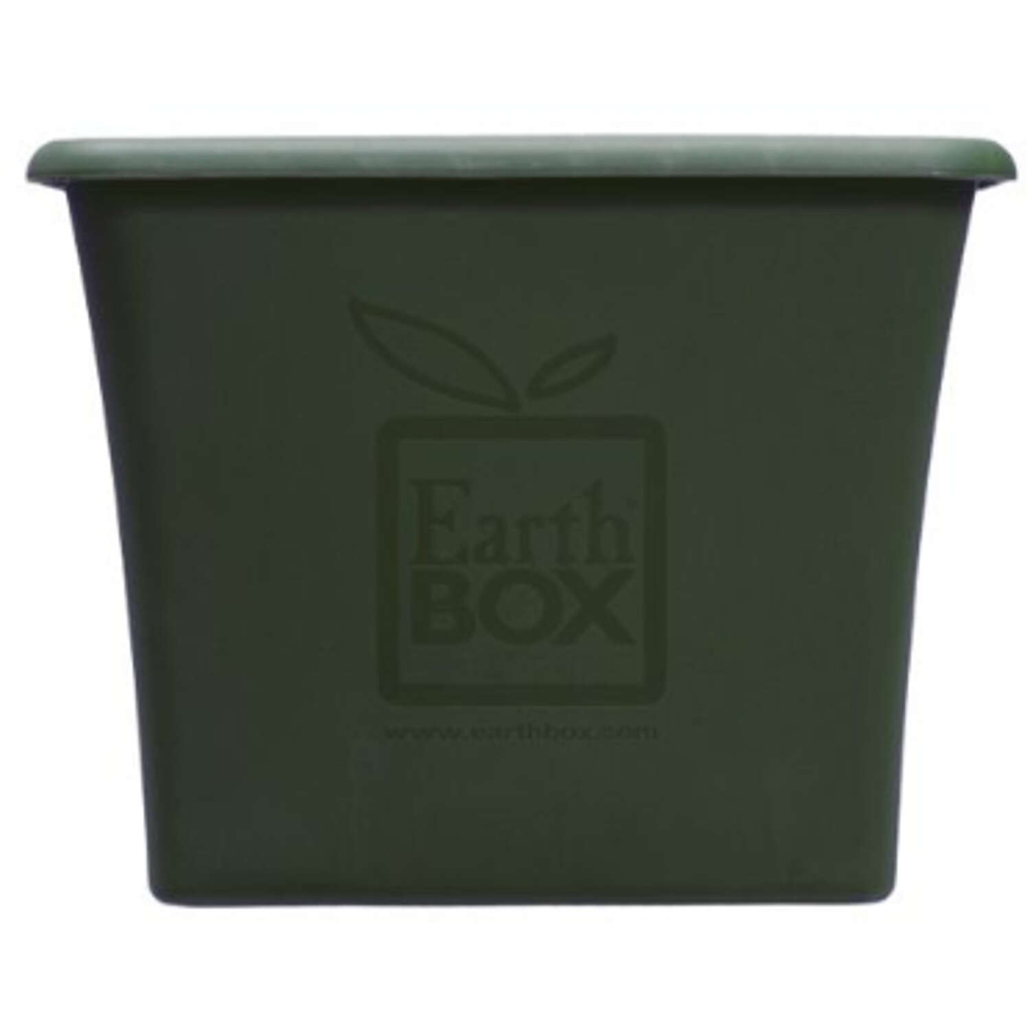 image-6
