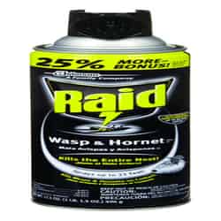Raid Foam Wasp and Hornet Killer 17.5 oz