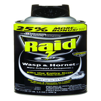 Raid Foam Wasp and Hornet Killer 17.5 oz