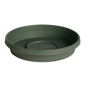 Bloem Terratray 1.5 in. H Thyme Green Resin Traditional Tray