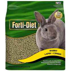 Rabbit
