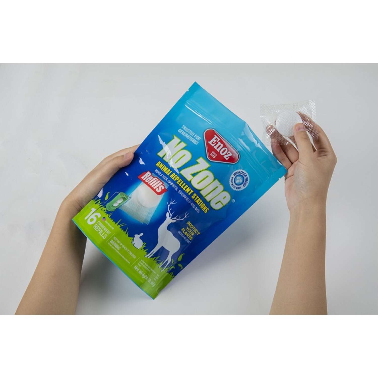 image-2