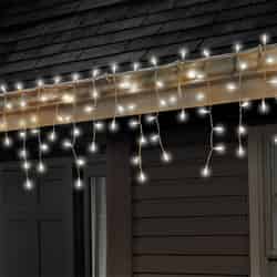 Celebrations Basic LED Mini Cool White 100 ct String Christmas Lights 5.67 ft.
