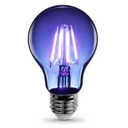 Feit Electric Filament A19 E26 (Medium) LED Bulb Blue 30 Watt Equivalence 1 pk
