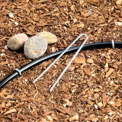 Raindrip Drip Irrigation Stake