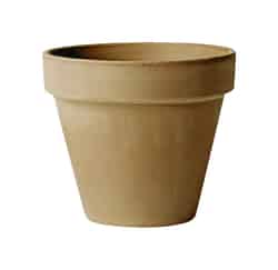 Deroma 8 in. H x 8 in. W Brown Clay Standard Planter