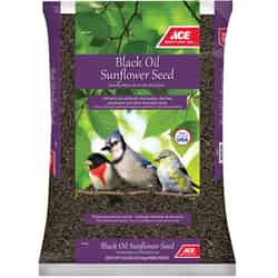 Ace Assorted Species Wild Bird Food Black Oil Sunflower 10 lb.
