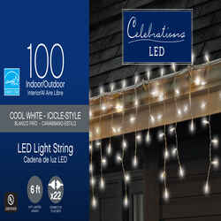 Celebrations Basic LED Mini Cool White 100 ct String Christmas Lights 5.67 ft.