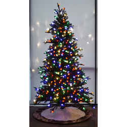 Holiday Bright Lights