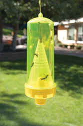 RESCUE Yellow Jacket Trap 1 pk