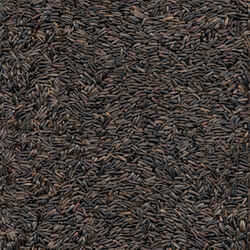 Ace Assorted Species Wild Bird Food Thistle Seed 3 lb.
