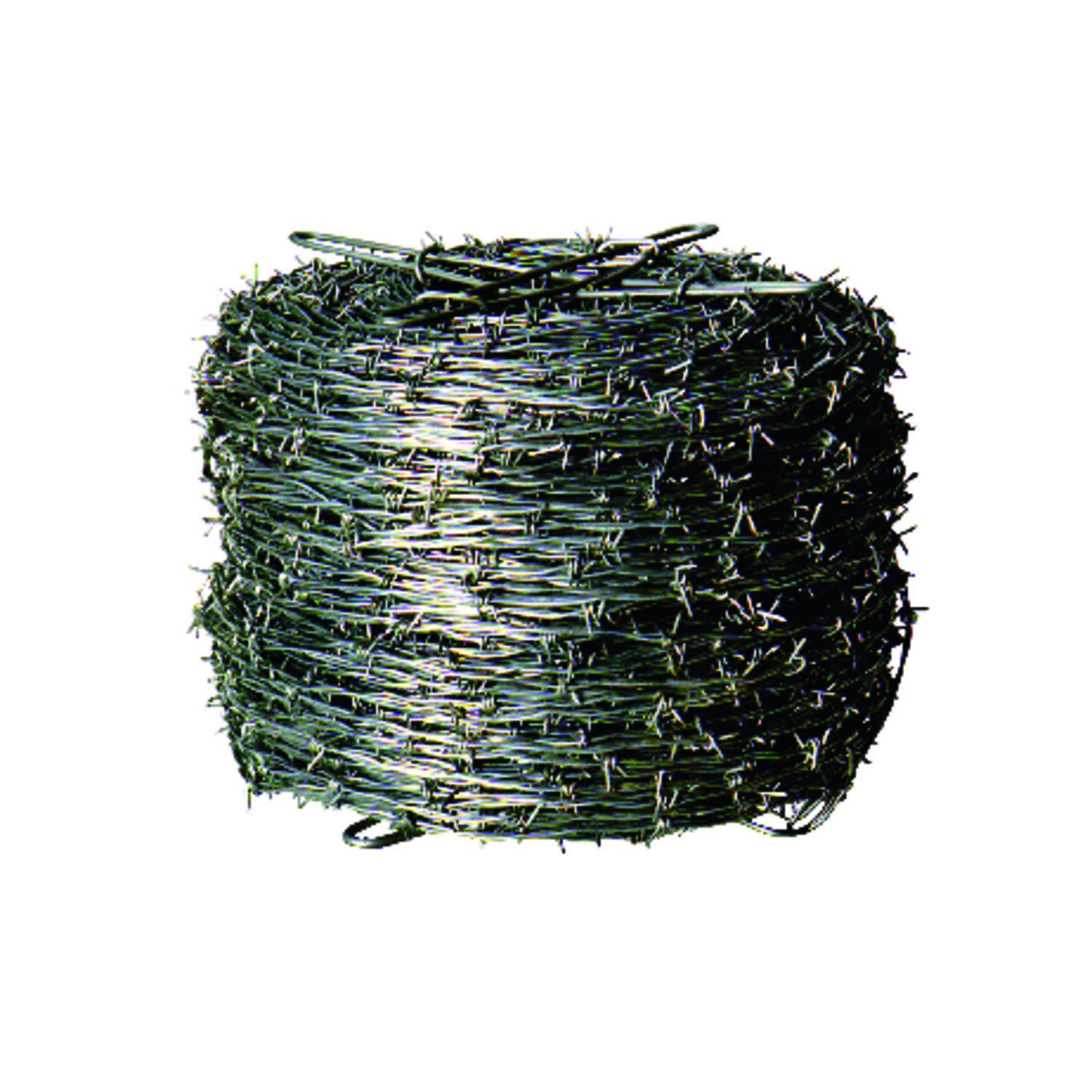 image-1