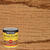 Minwax Wood Finish Semi-Transparent Red Chestnut Oil-Based Wood Stain 1 qt