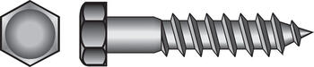 HILLMAN 1 in. L x 1/4 in. Hex Stainless Steel Lag Screw 50 pk