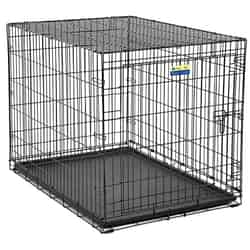 Contour Large Steel Dog Crate Black 30.6 in. H x 30 in. W