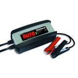 DieHard Automatic 3 amps Battery Charger/Maintainer