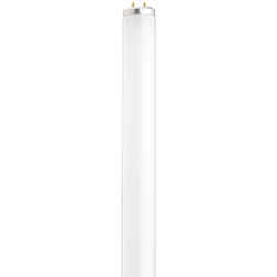 Satco 20 watts T12 24 in. Daylight Fluorescent Bulb 1075 lumens Linear 1 pk