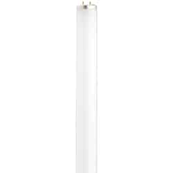 Satco 20 watts T12 24 in. Daylight Fluorescent Bulb 1075 lumens Linear 1 pk