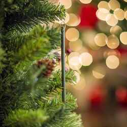 Scentsicles Pine Scent Fragrance Sticks Solid 6 oz.