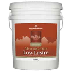 Ben Moore Tintable Base House Paint 5 gal.