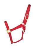 Hamilton Halter Nylon Large