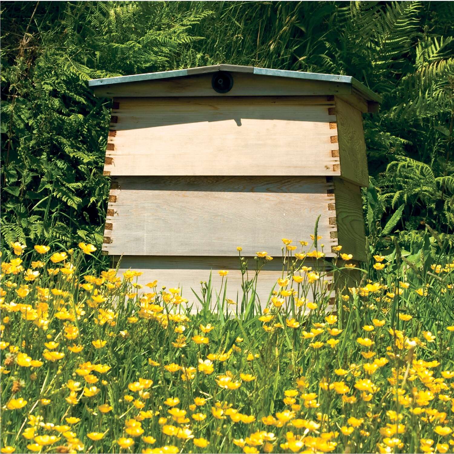 image-5