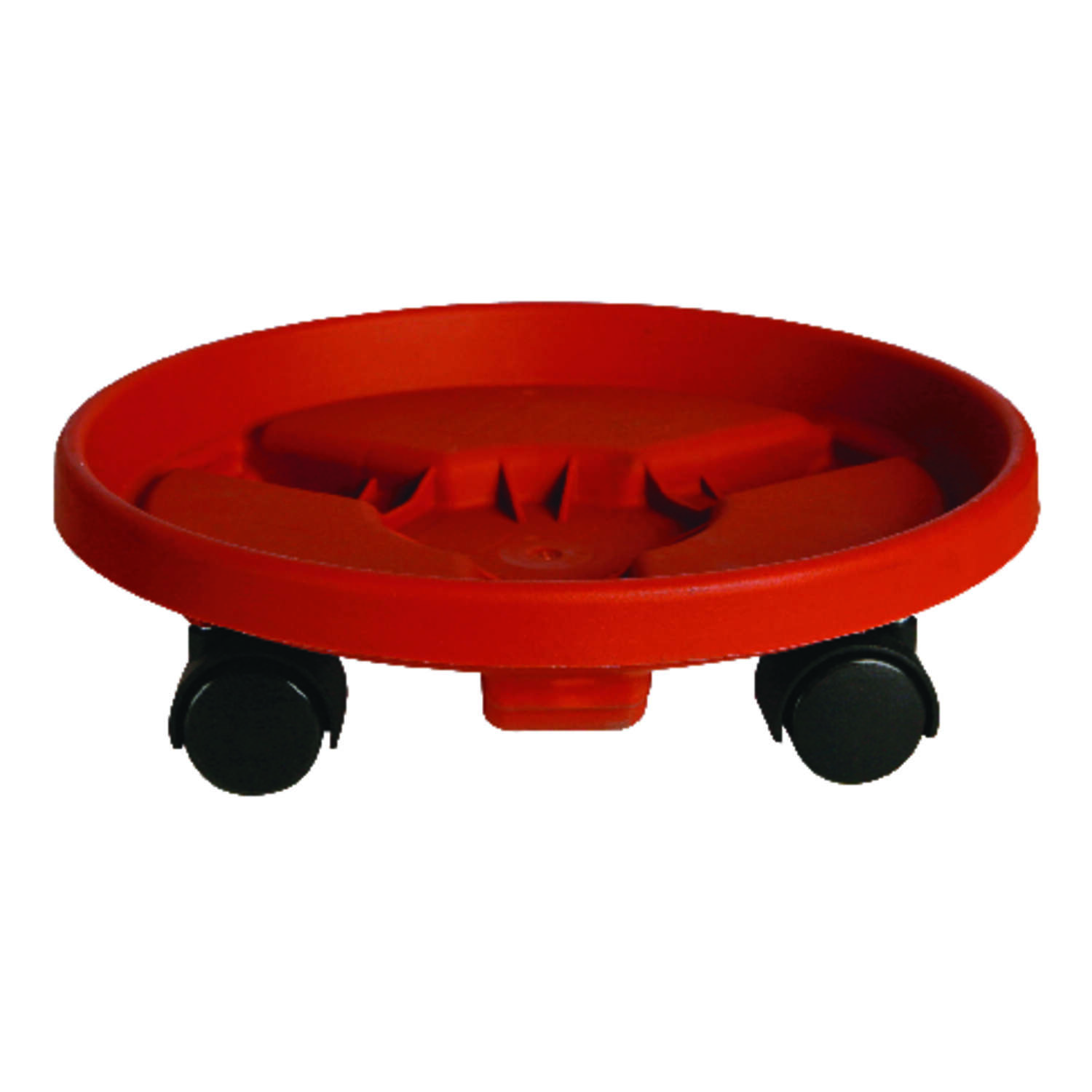 image-1