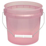 Leaktite Red 1 gal Bucket