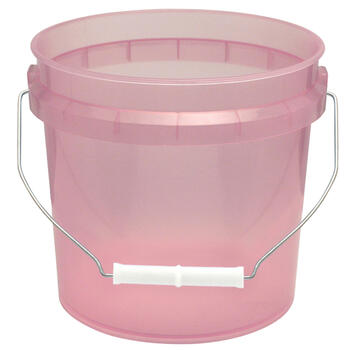 Leaktite Red 1 gal Bucket