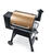 Traeger Pro Series 22 Bronze Grill 20000 BTU Wood Pellet