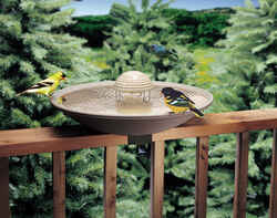 Allied 5.5 in. H x 3 in. D x 5.5 in. W Bird Bath De-Icer/Heater
