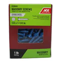 Ace 1/4 in. x 1-1/4 in. L Phillips Flat Head Steel Masonry Screws 1 lb. 80 pk