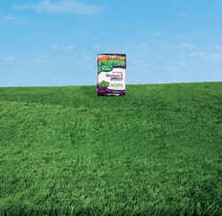 Scotts Turf Builder Bonus S Weed & Feed 29-0-10 Lawn Food 5000 square foot For Southern Grasses