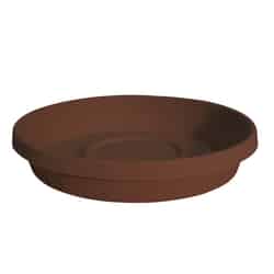 Bloem Terratray 2.75 in. H x 16 in. Dia. Chocolate Resin Traditional Tray