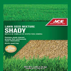 Ace Mixed Shade Lawn Seed Mixture 3 lb