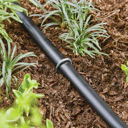 Raindrip Drip Irrigation Stake