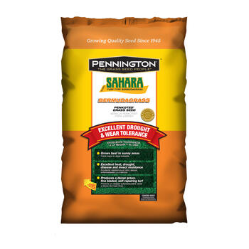 Pennington Seed