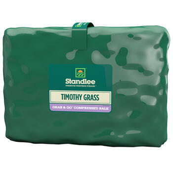 Standlee Premium Western Forage Timothy Grass Compressed Bale For Horses 50 lb.