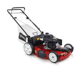Toro