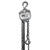 OZ Lifting Products Steel 1000 lb. Chain Hoist