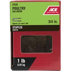 Ace 3/4 in. L Galvanized Steel Poultry Staples 1 lb.