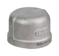 Smith Cooper 2 in. FPT Stainless Steel Cap