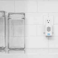 Ring White Wireless Door Chime Bell