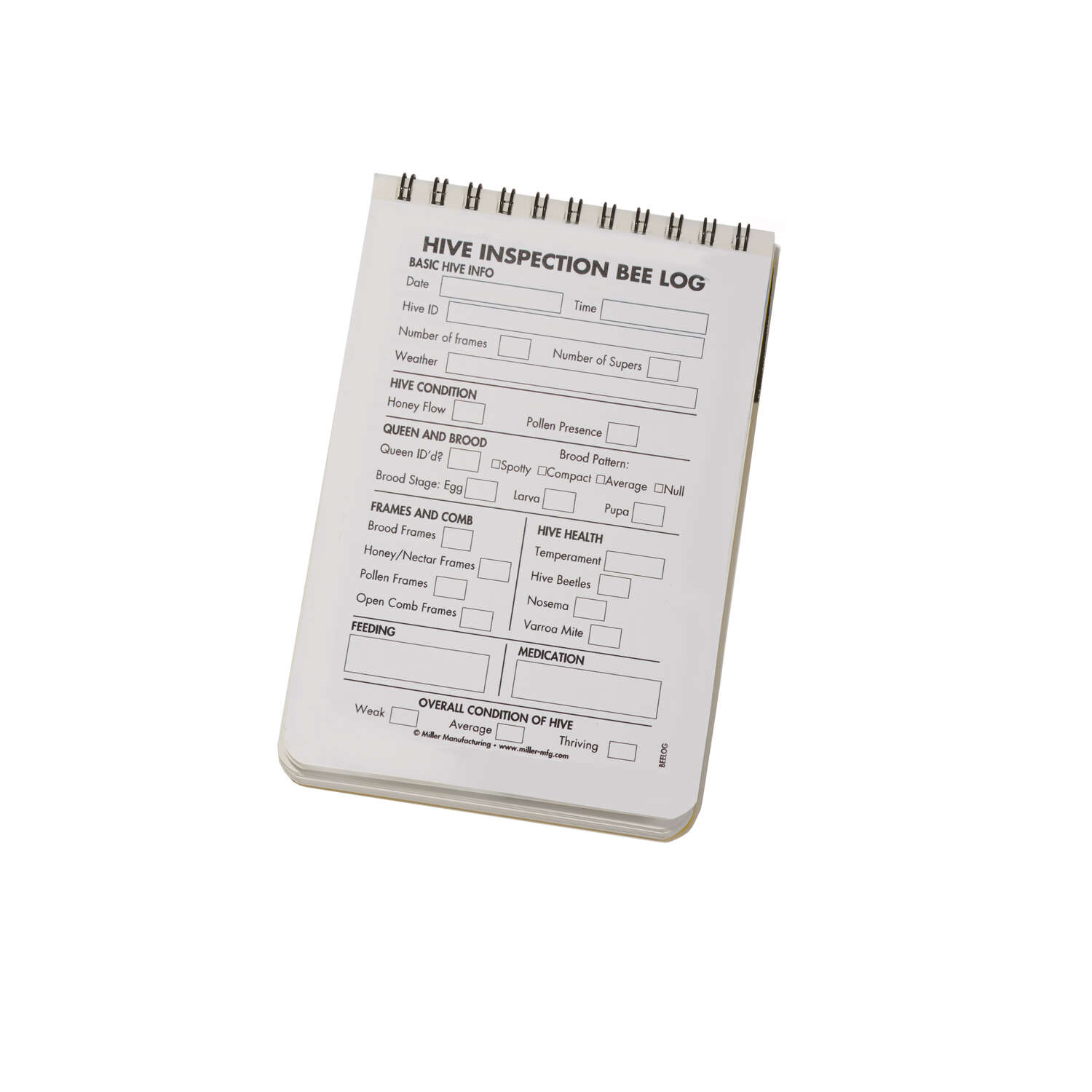 image-2