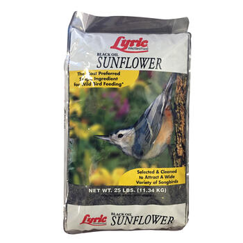 Lyric Assorted Species Wild Bird Food Black Oil Sunflower Seed 25 lb.