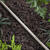 Raindrip Vinyl Drip Irrigation Tubing 1/4 in. x 50 ft. L