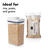 OXO 2.5 qt. Pop Container 1 pk Clear Good Grips
