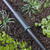 Raindrip Plastic Drip Irrigation Compression Coupler 2 pk