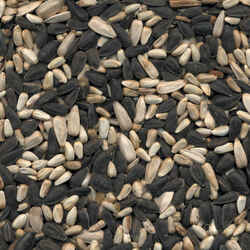 Kaytee Cardinal Wild Bird Food Sunflower Seeds 7 lb.