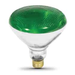 Ace 100 watts PAR38 Incandescent Bulb Green 1 pk Floodlight